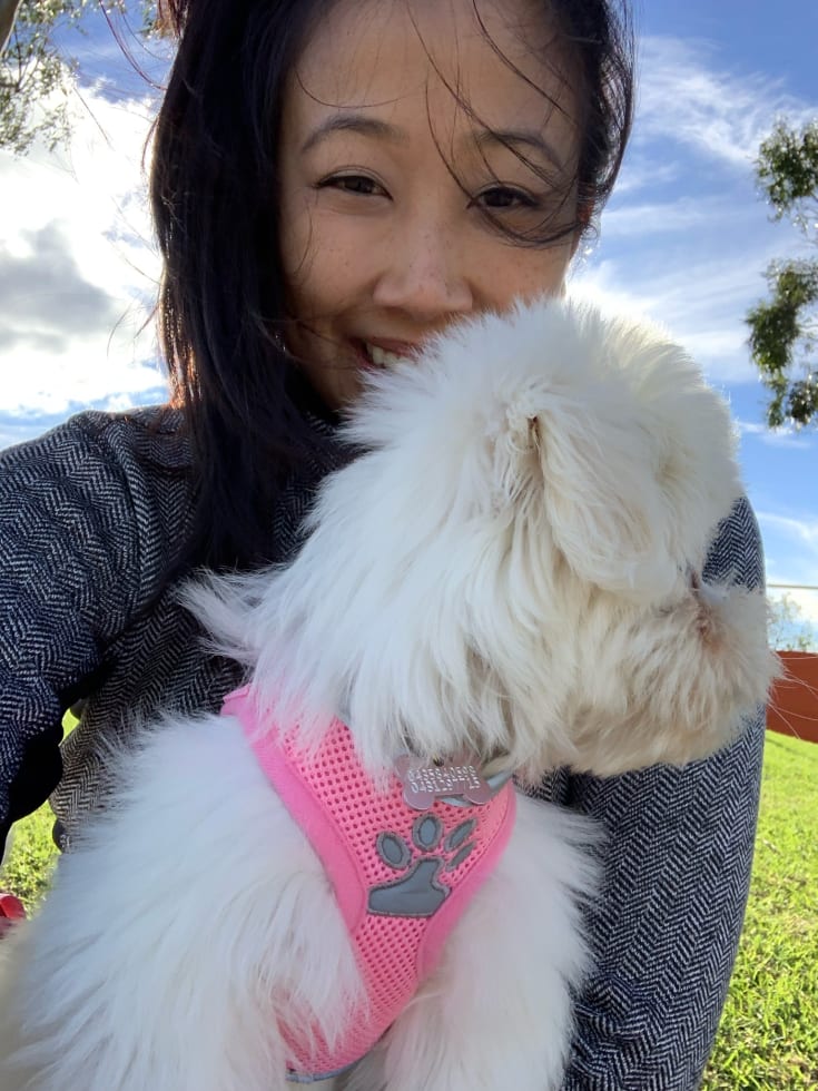 Photo in Sitter's gallery