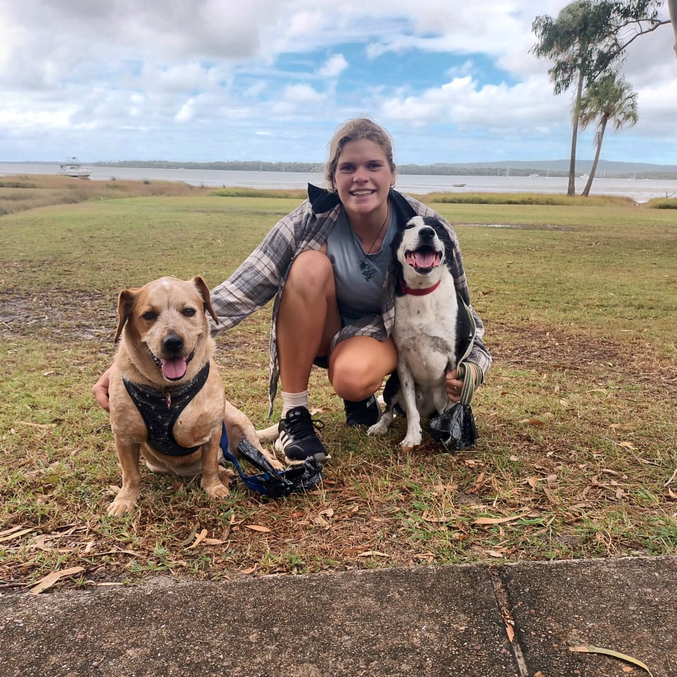 Photo in Sitter's gallery