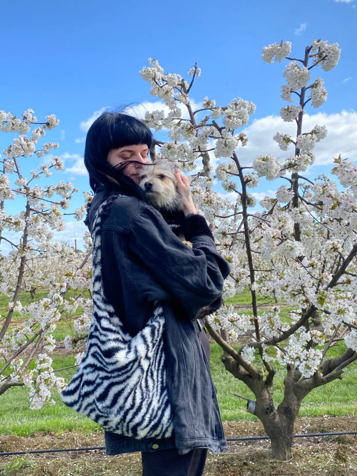 Photo in Sitter's gallery