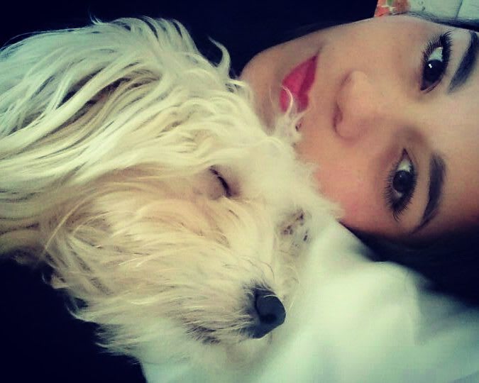 Photo in Sitter's gallery