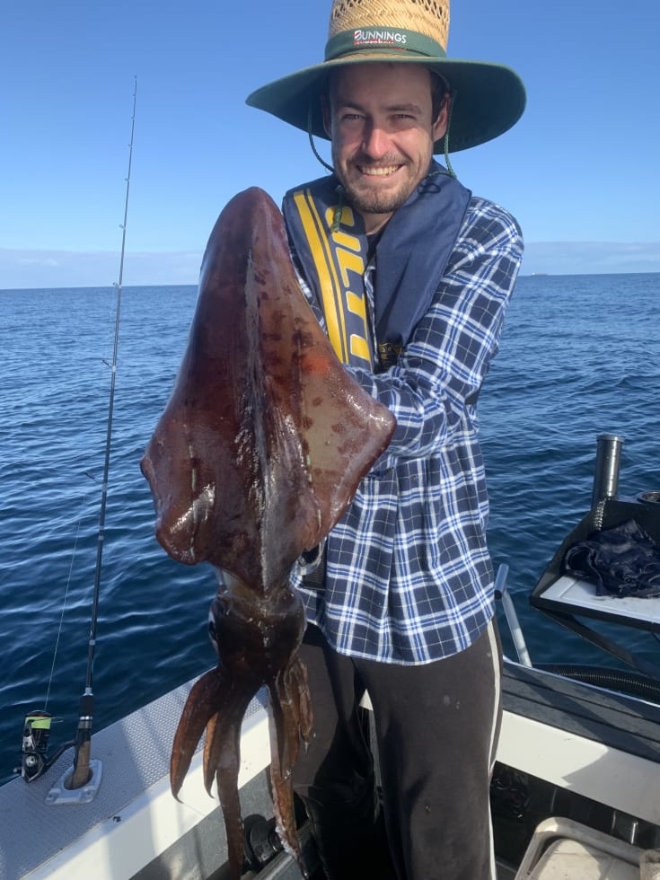 Photo in Sitter's gallery