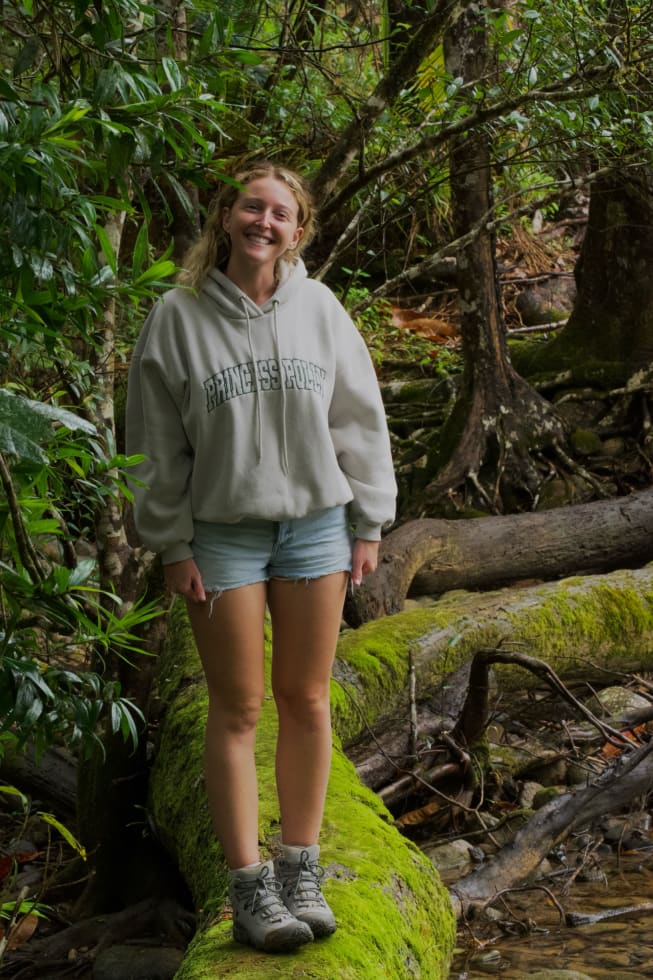 Photo in Sitter's gallery