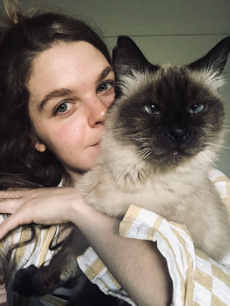 Photo in Sitter's gallery