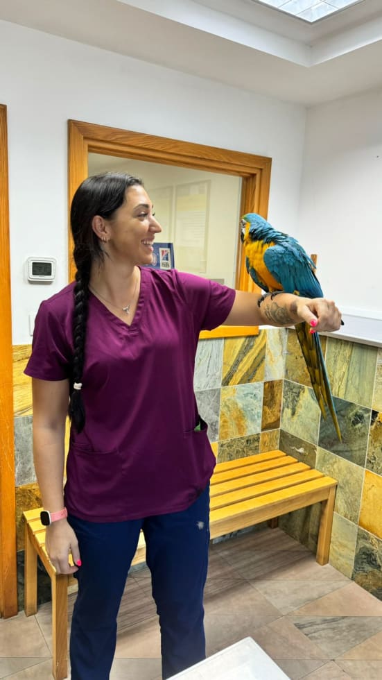 Photo in Sitter's gallery