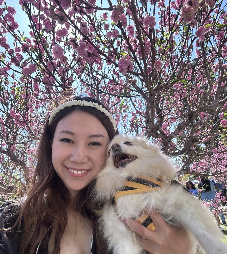 Photo in Sitter's gallery