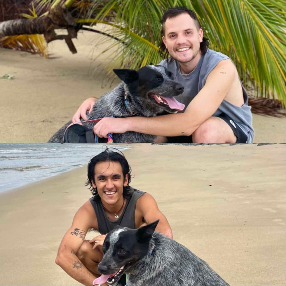 Photo in Sitter's gallery