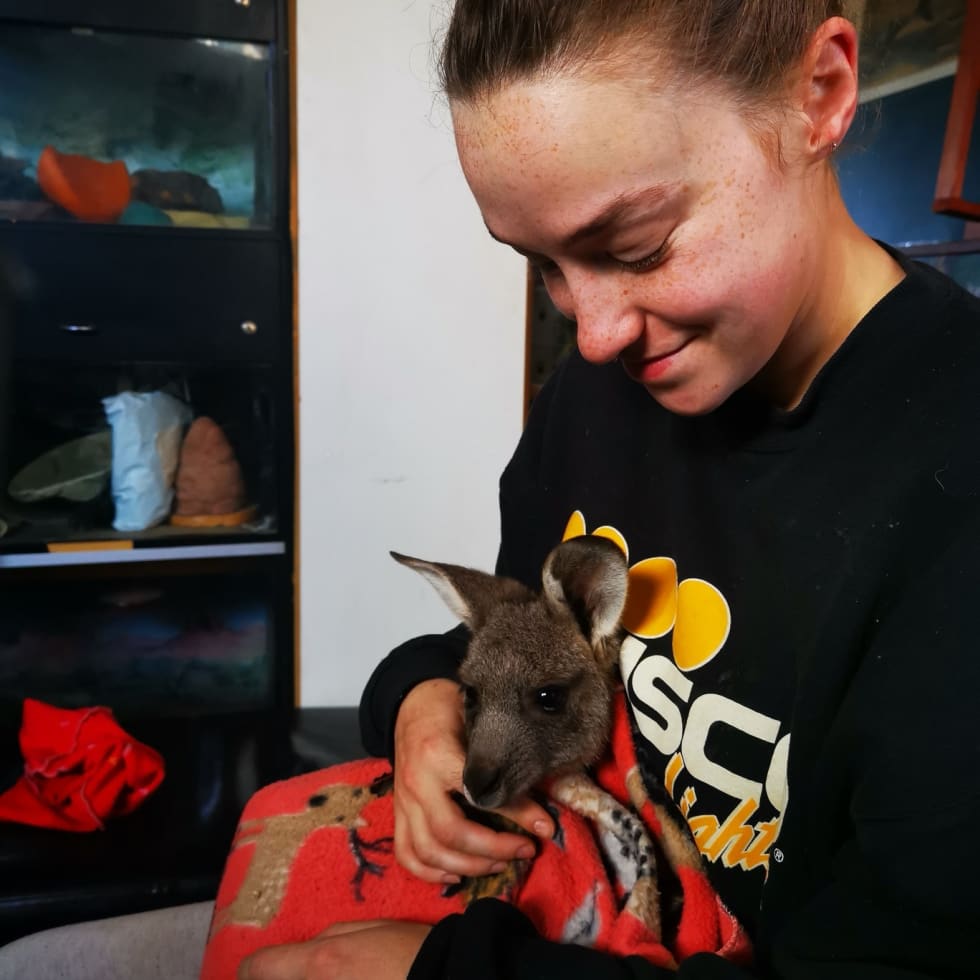 Photo in Sitter's gallery