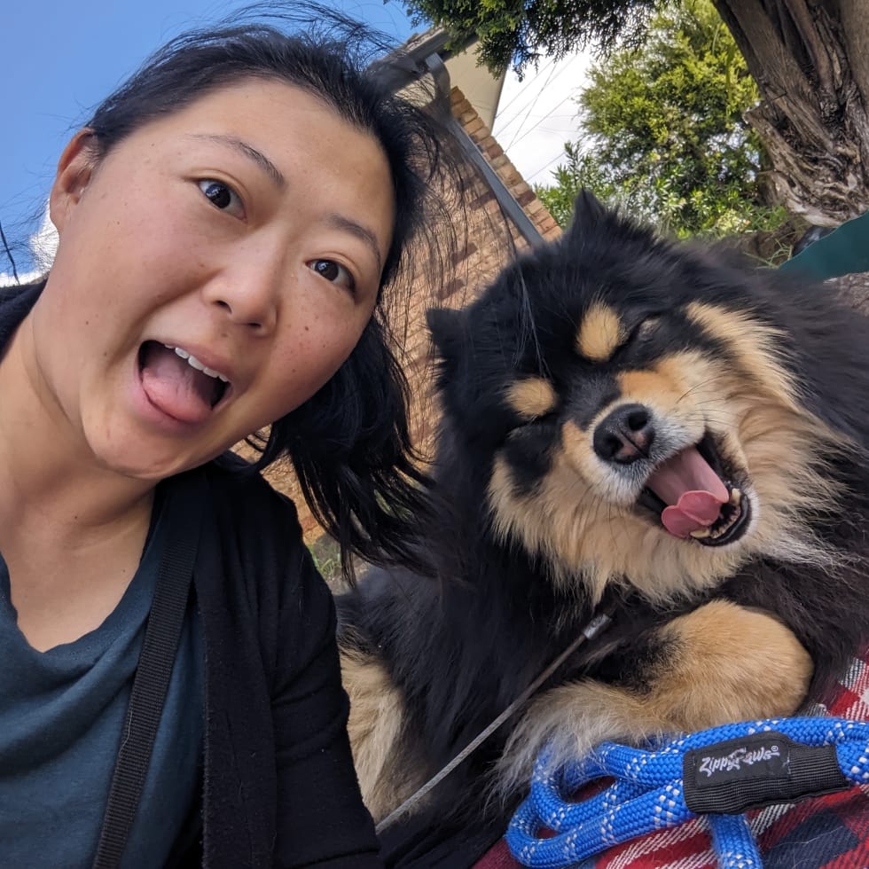 Photo in Sitter's gallery