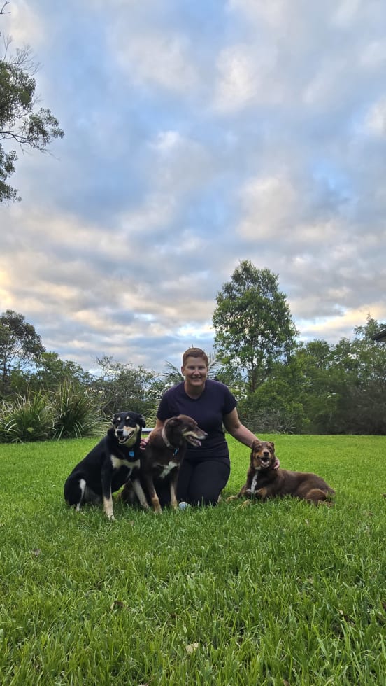 Photo in Sitter's gallery