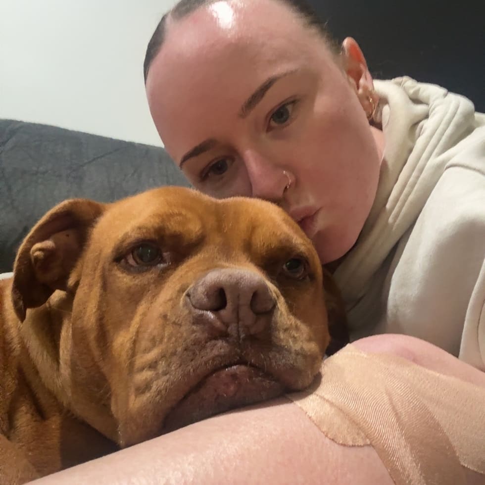 Photo in Sitter's gallery