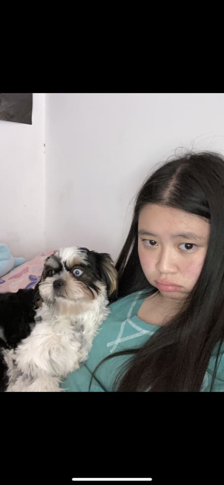 Photo in Sitter's gallery