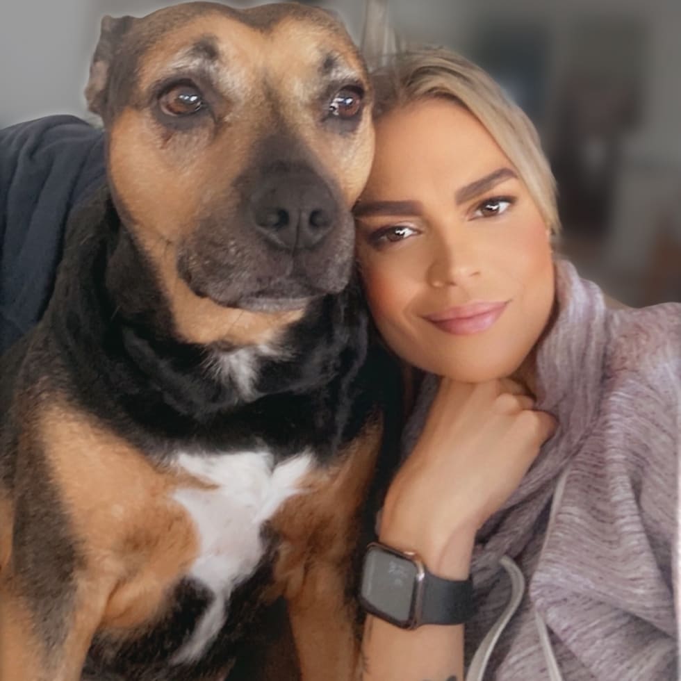 Photo in Sitter's gallery