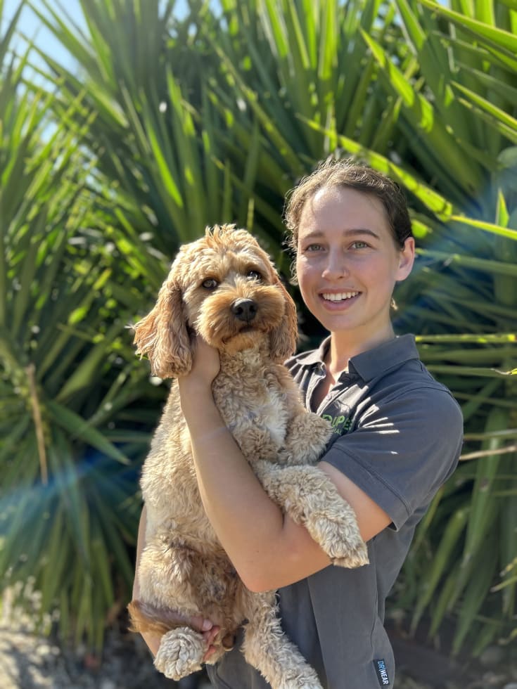 Photo in Sitter's gallery