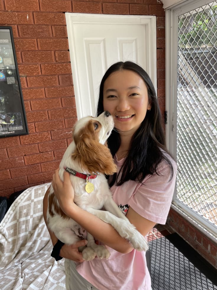 Photo in Sitter's gallery