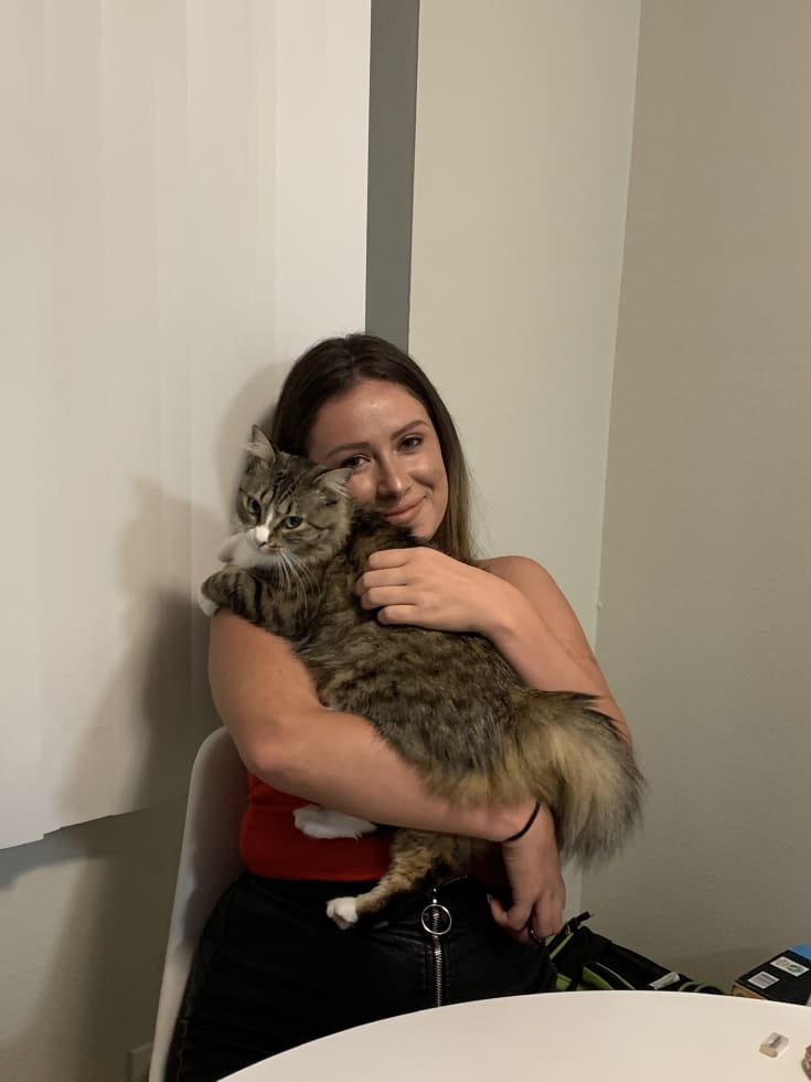 Photo in Sitter's gallery