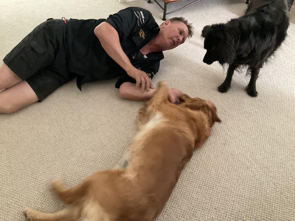 Photo in Sitter's gallery