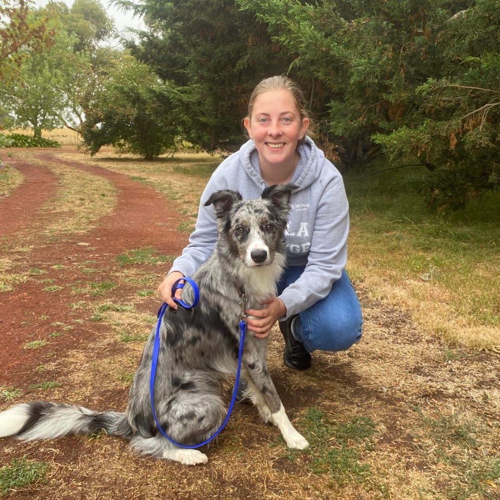 Photo in Sitter's gallery