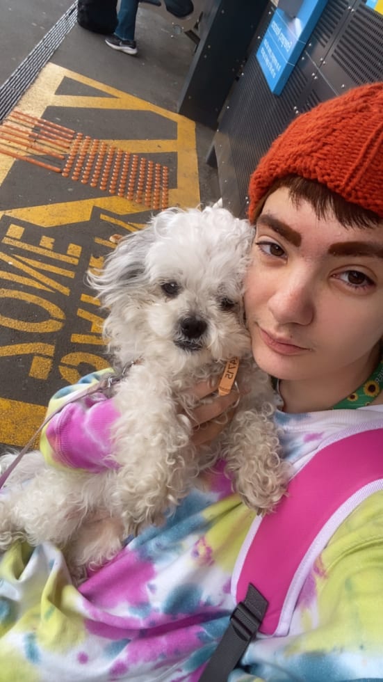 Photo in Sitter's gallery