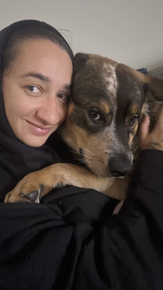 Photo in Sitter's gallery