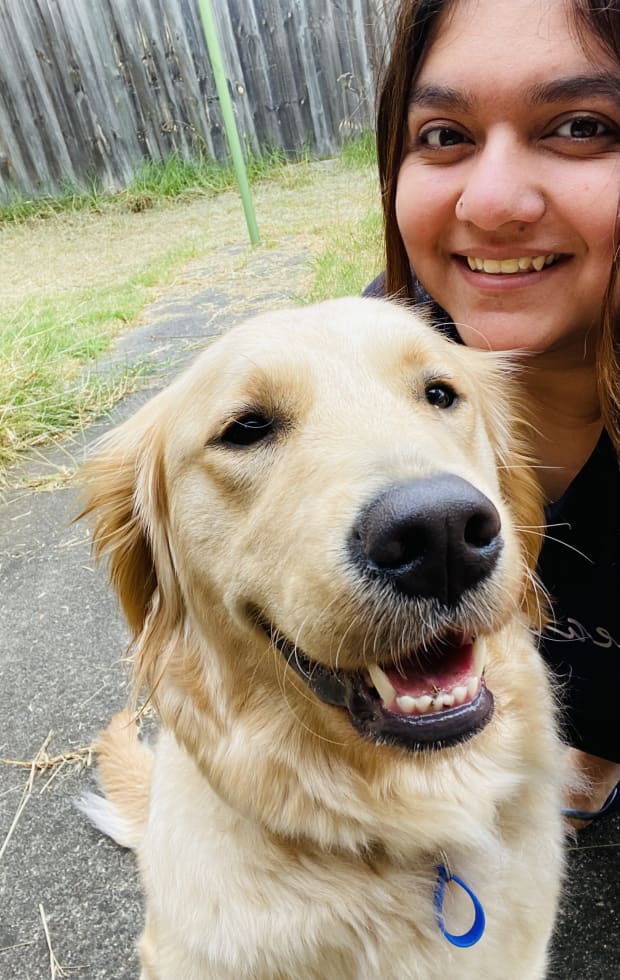 Photo in Sitter's gallery