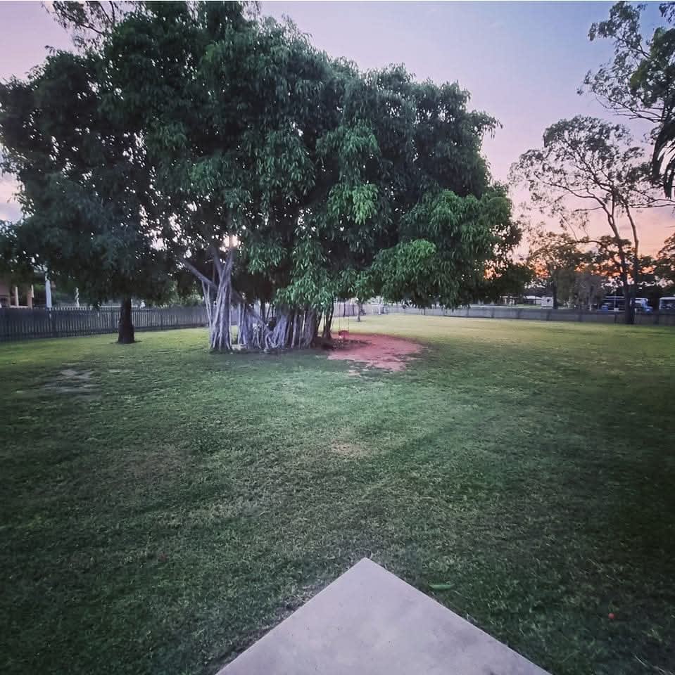 Photo in Sitter's gallery