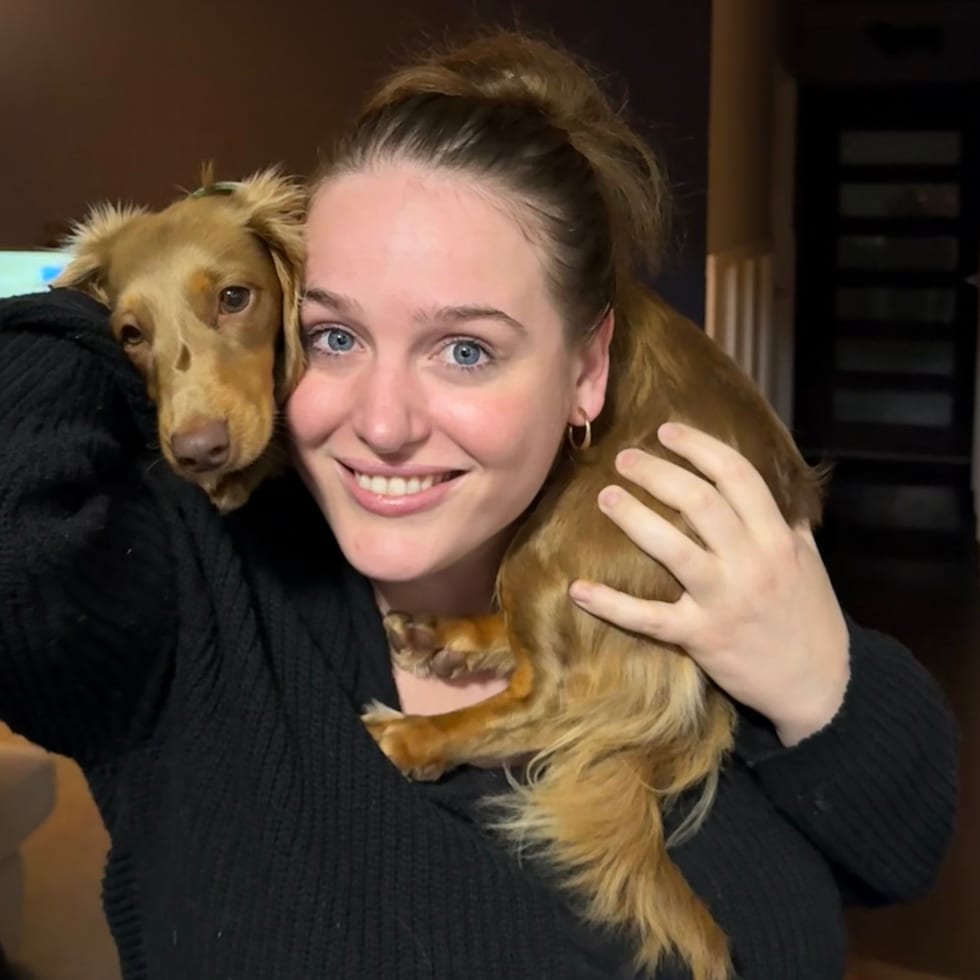 Photo in Sitter's gallery