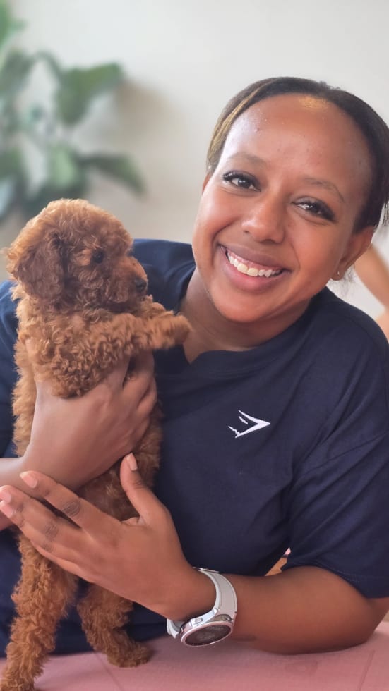 Photo in Sitter's gallery