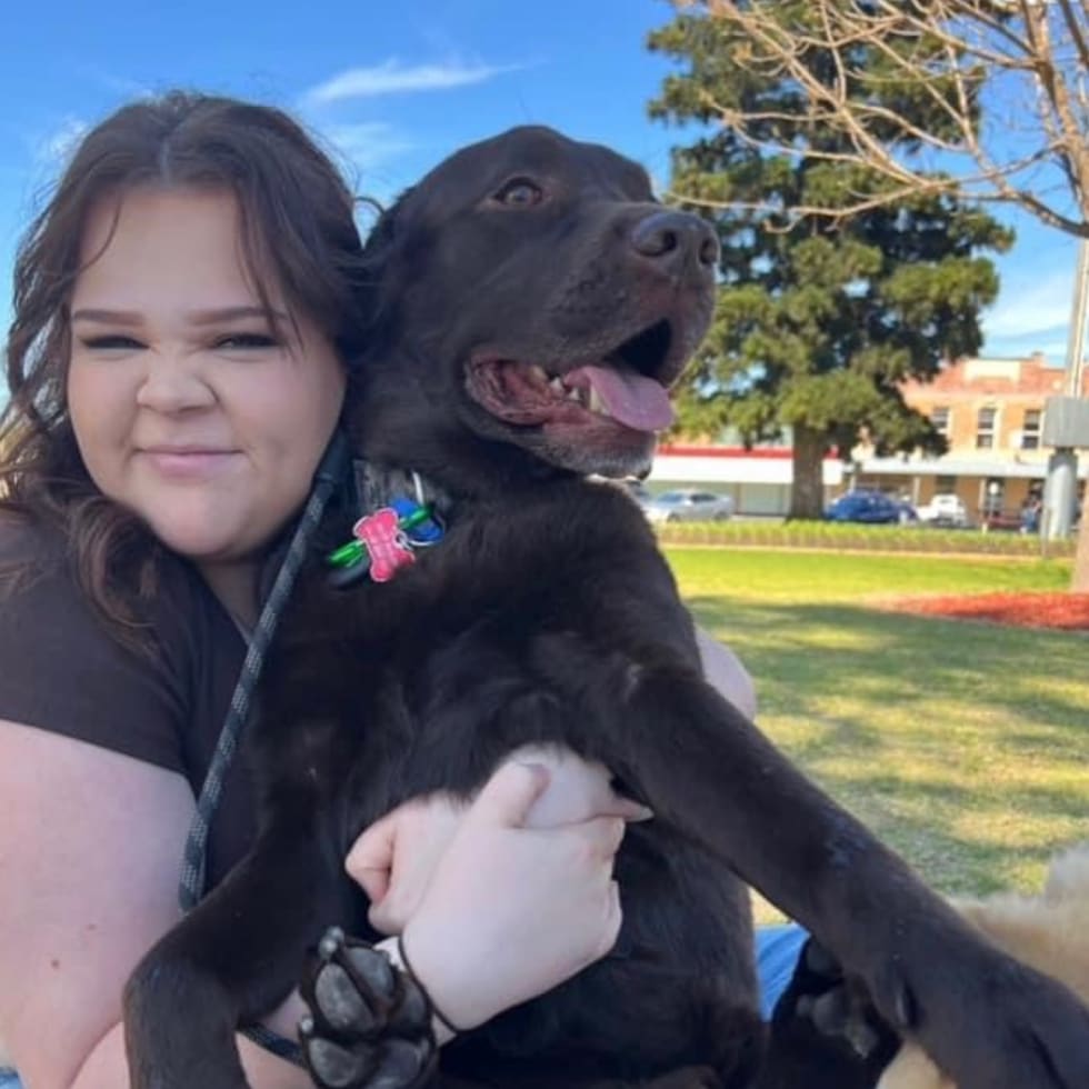 Photo in Sitter's gallery