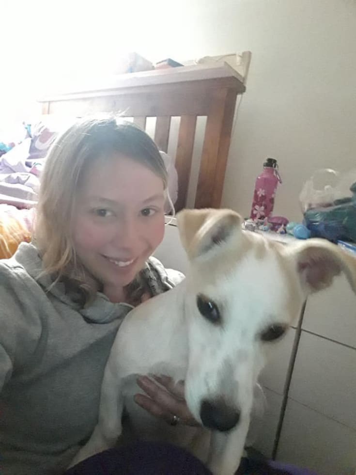 Photo in Sitter's gallery