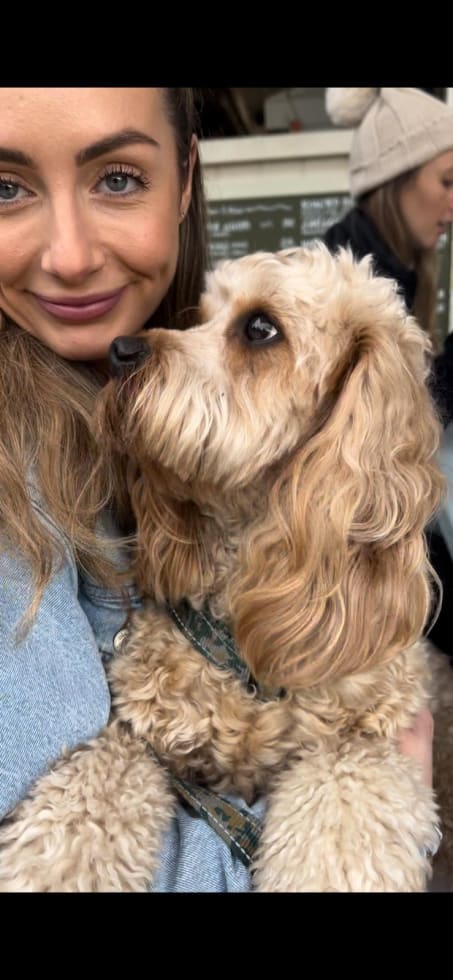 Photo in Sitter's gallery