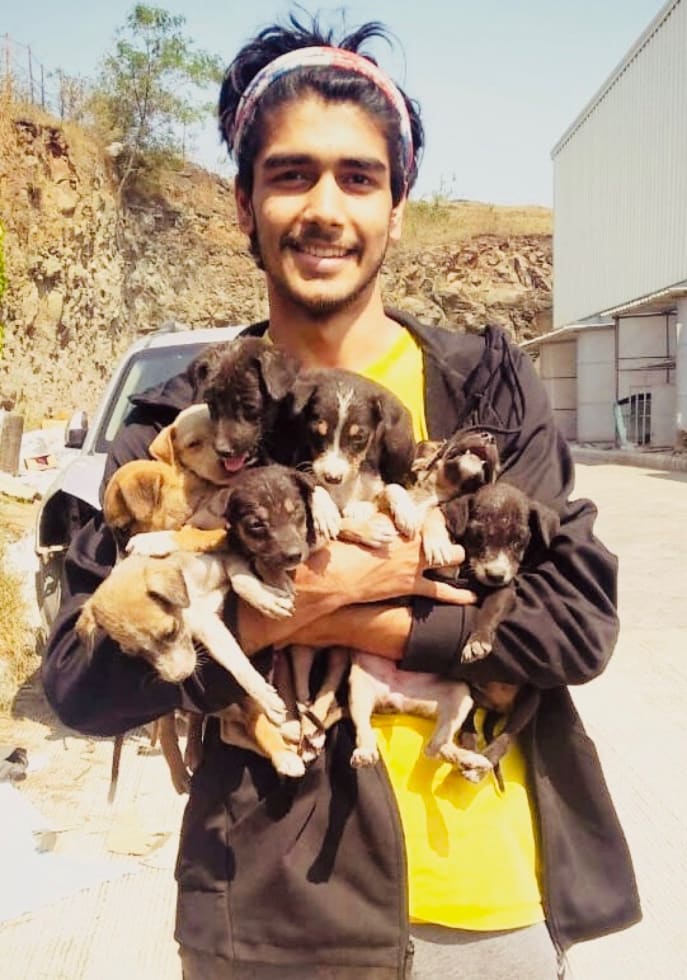 Photo in Sitter's gallery