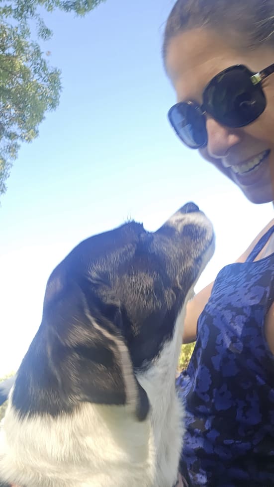 Photo in Sitter's gallery