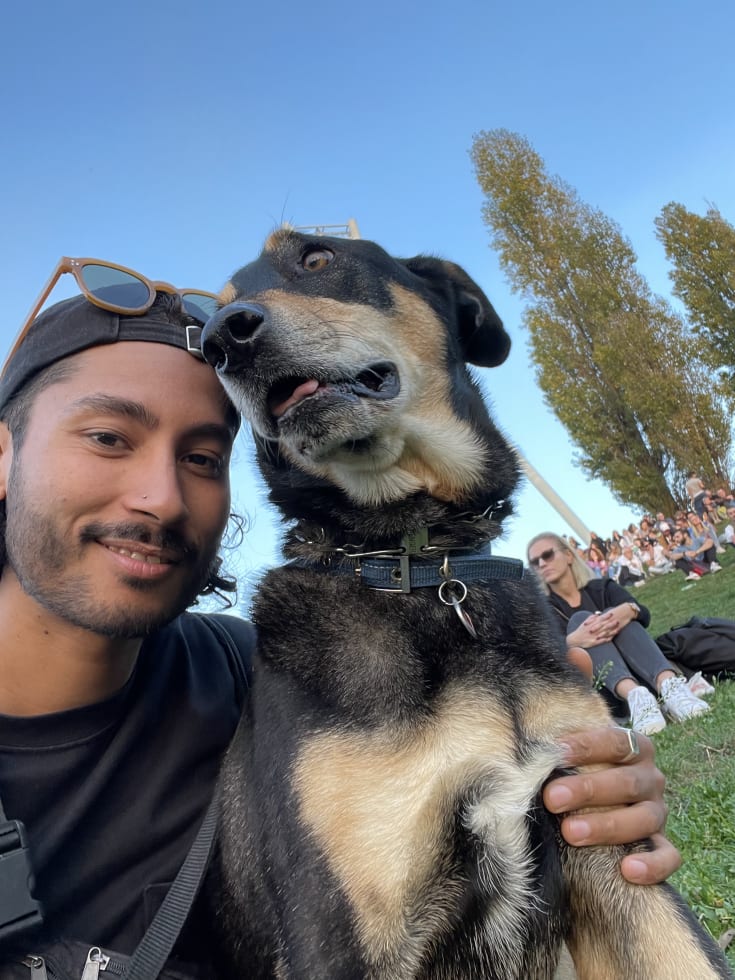 Photo in Sitter's gallery