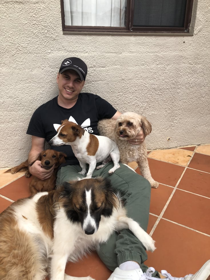 Photo in Sitter's gallery