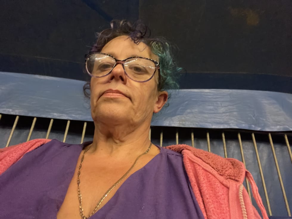 Photo in Sitter's gallery