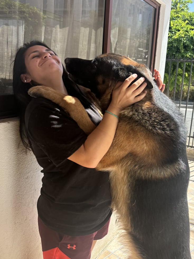 Photo in Sitter's gallery