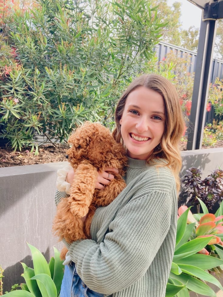 Photo in Sitter's gallery