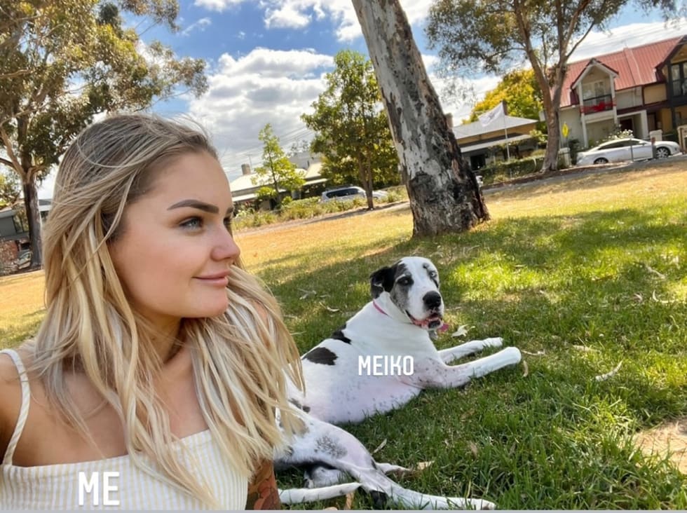 Photo in Sitter's gallery