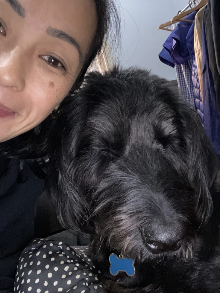 Photo in Sitter's gallery