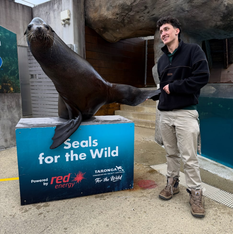 Photo in Sitter's gallery