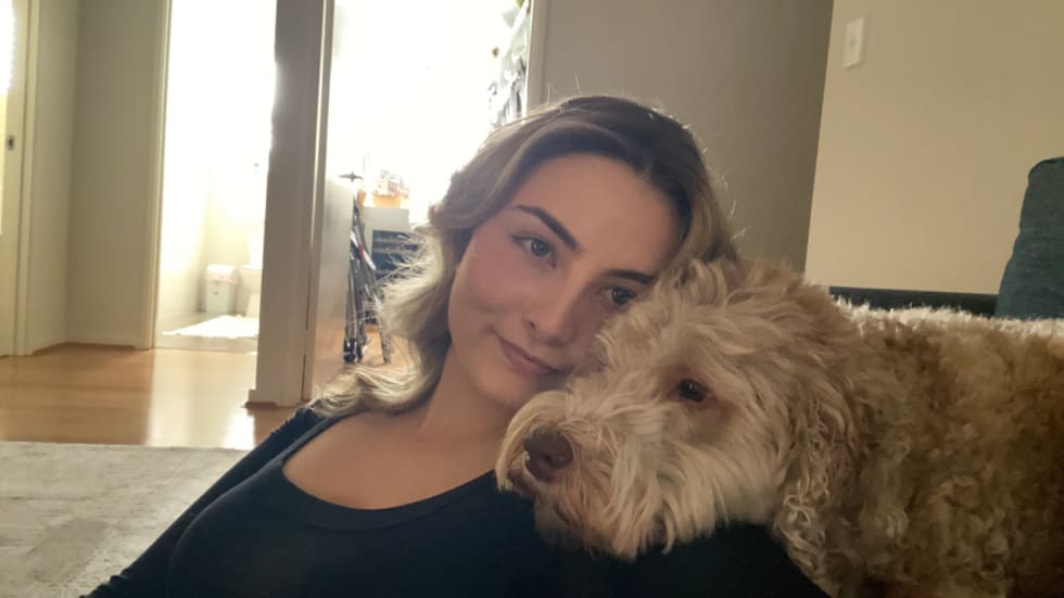 Photo in Sitter's gallery