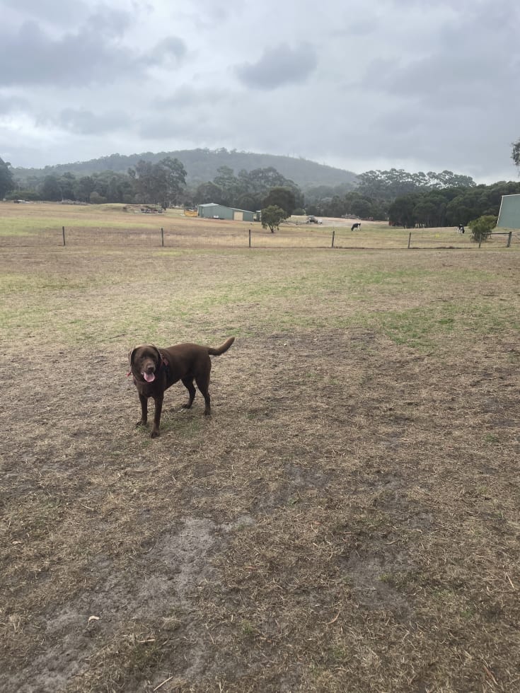 Photo in Sitter's gallery