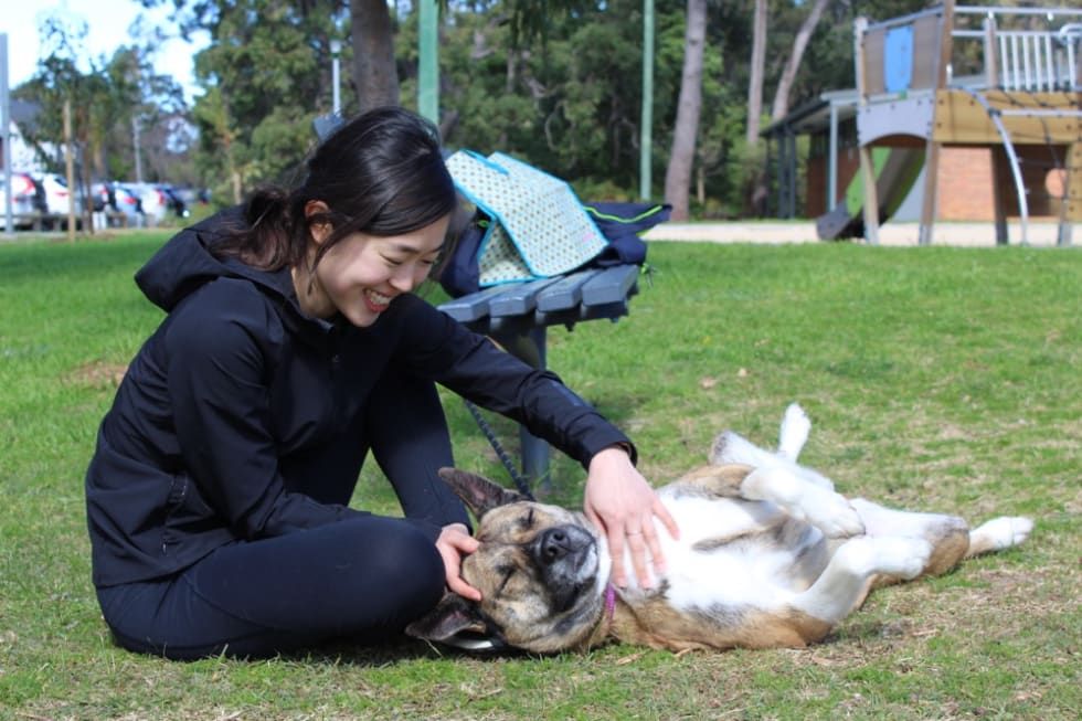 Photo in Sitter's gallery