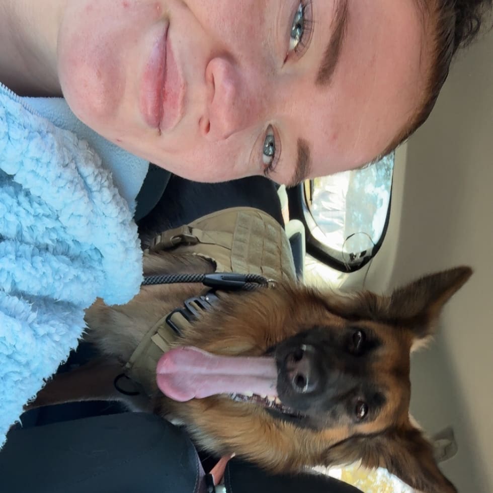 Photo in Sitter's gallery