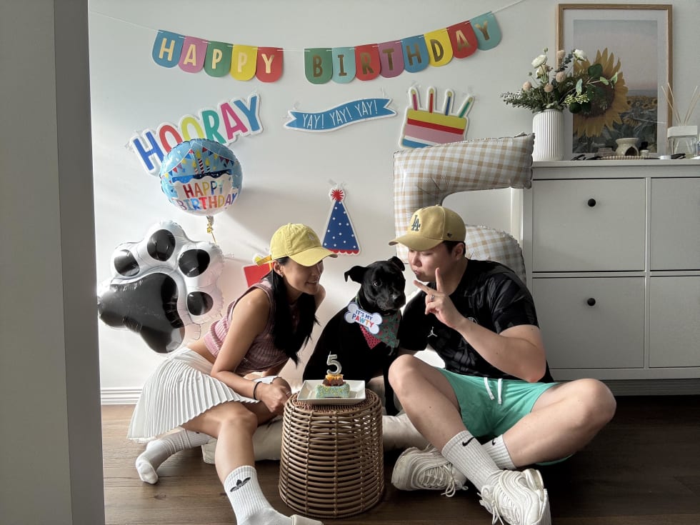 Photo in Sitter's gallery