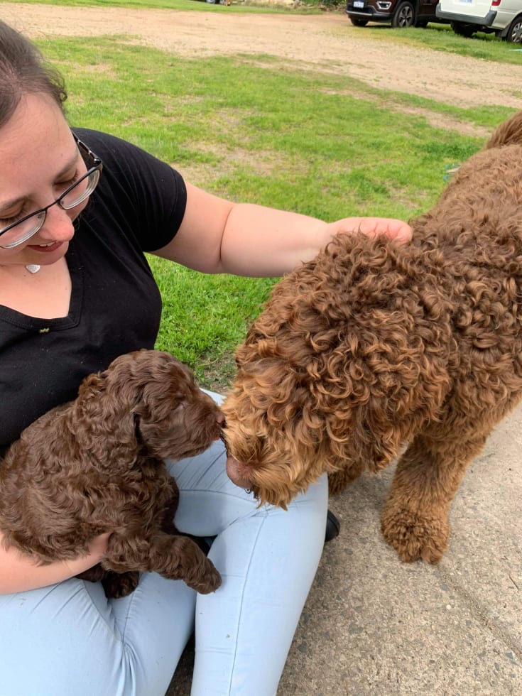 Photo in Sitter's gallery