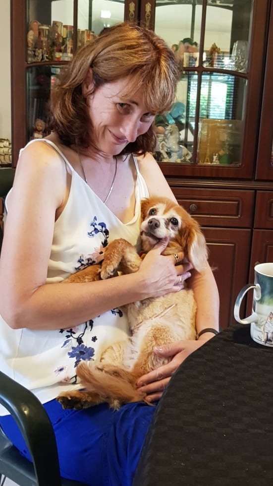 Photo in Sitter's gallery