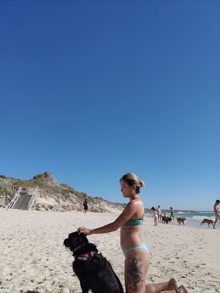 Photo in Sitter's gallery