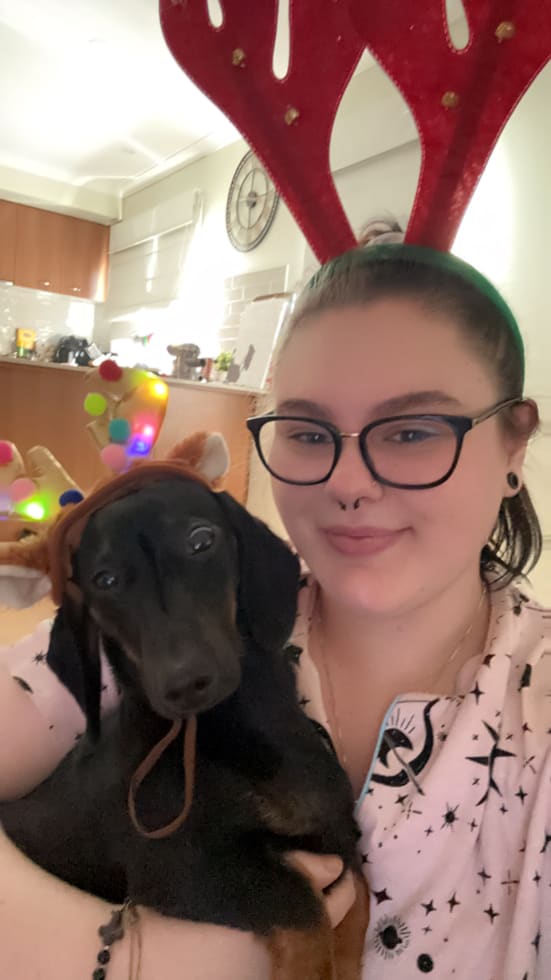 Photo in Sitter's gallery