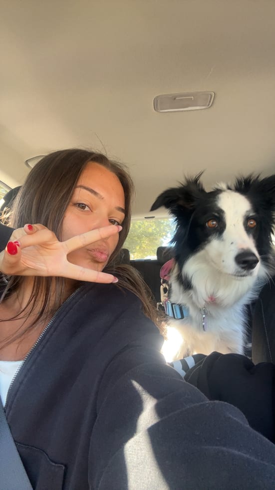 Photo in Sitter's gallery